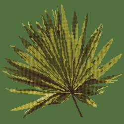 Elizabeth Bradley, Tropicals, FAN PALM LEAF - 16x16 pollici Elizabeth Bradley - 5