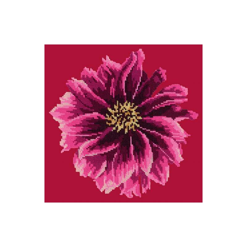 Elizabeth Bradley, Blooms, DAHLIA - 12x12 pollici Elizabeth Bradley - 3