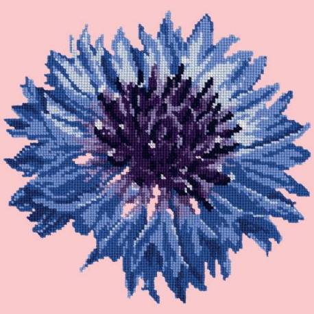 Elizabeth Bradley, Blooms, CORNFLOWER - 12x12 pollici Elizabeth Bradley - 1