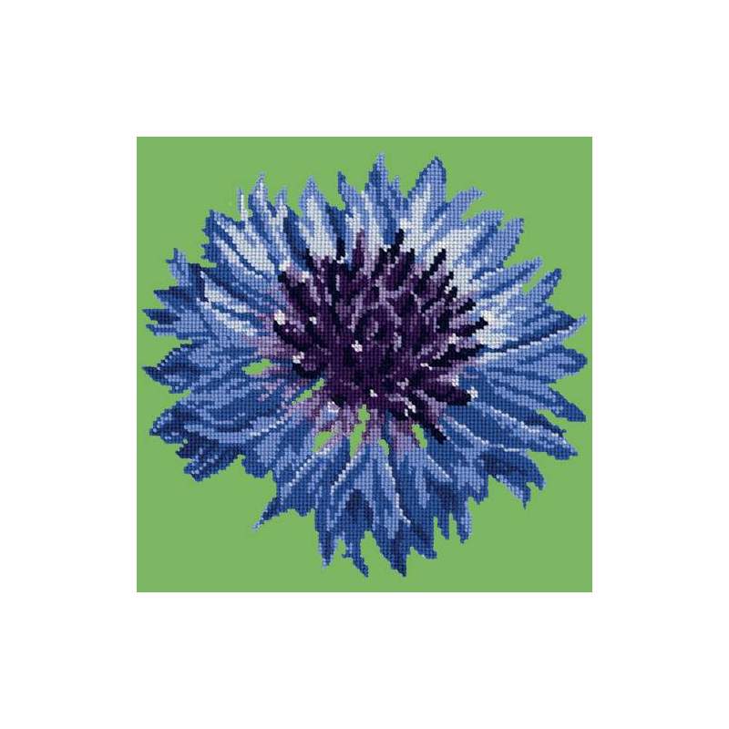 Elizabeth Bradley, Blooms, CORNFLOWER - 12x12 pollici Elizabeth Bradley - 6