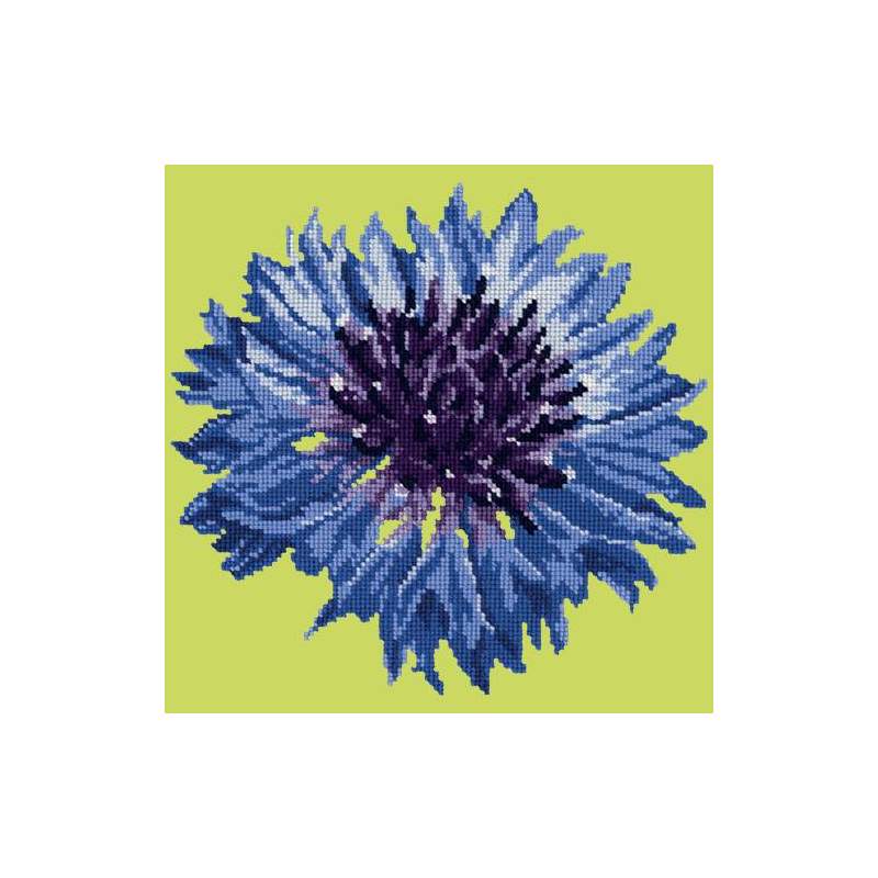 Elizabeth Bradley, Blooms, CORNFLOWER - 12x12 pollici Elizabeth Bradley - 7
