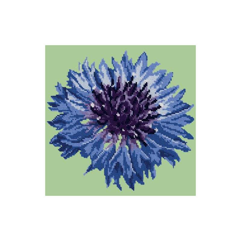 Elizabeth Bradley, Blooms, CORNFLOWER - 12x12 pollici Elizabeth Bradley - 8