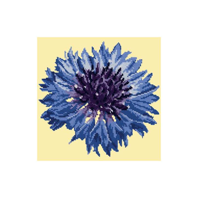 Elizabeth Bradley, Blooms, CORNFLOWER - 12x12 pollici Elizabeth Bradley - 9