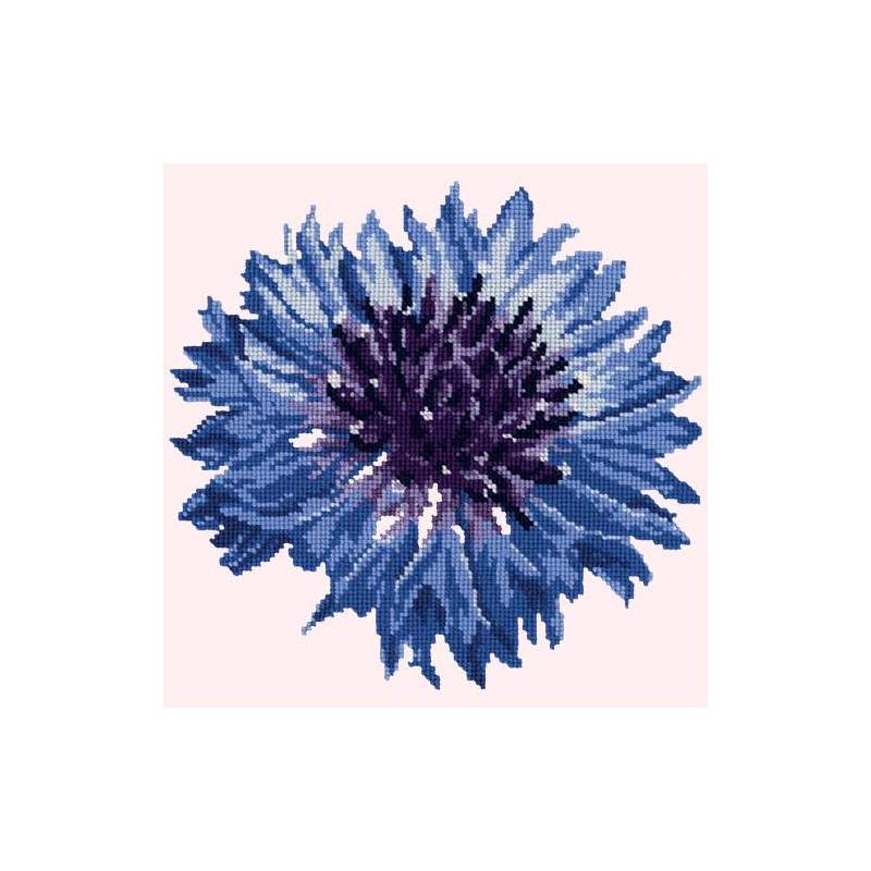 Elizabeth Bradley, Blooms, CORNFLOWER - 12x12 pollici Elizabeth Bradley - 11