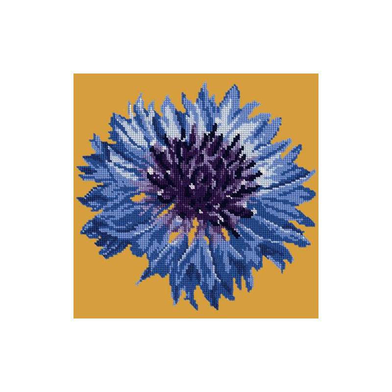 Elizabeth Bradley, Blooms, CORNFLOWER - 12x12 pollici Elizabeth Bradley - 12