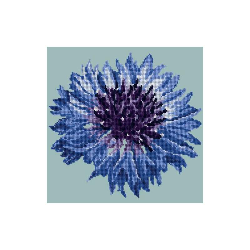 Elizabeth Bradley, Blooms, CORNFLOWER - 12x12 pollici Elizabeth Bradley - 13
