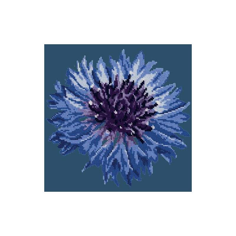 Elizabeth Bradley, Blooms, CORNFLOWER - 12x12 pollici Elizabeth Bradley - 15
