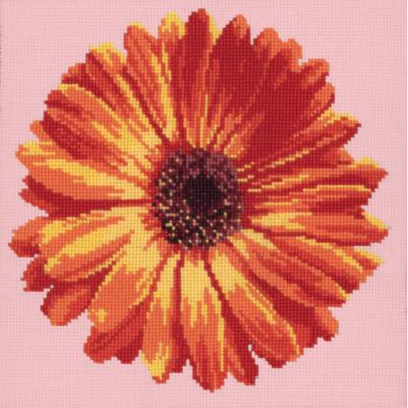 Elizabeth Bradley, Blooms, POT MARIGOLD - 12x12 pollici Elizabeth Bradley - 1