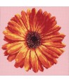Elizabeth Bradley, Blooms, POT MARIGOLD - 12x12 pollici Elizabeth Bradley - 1 Elizabeth Bradley, Blooms, POT MARIGOLD - 12x12 pollici Elizabeth Bradley - 1