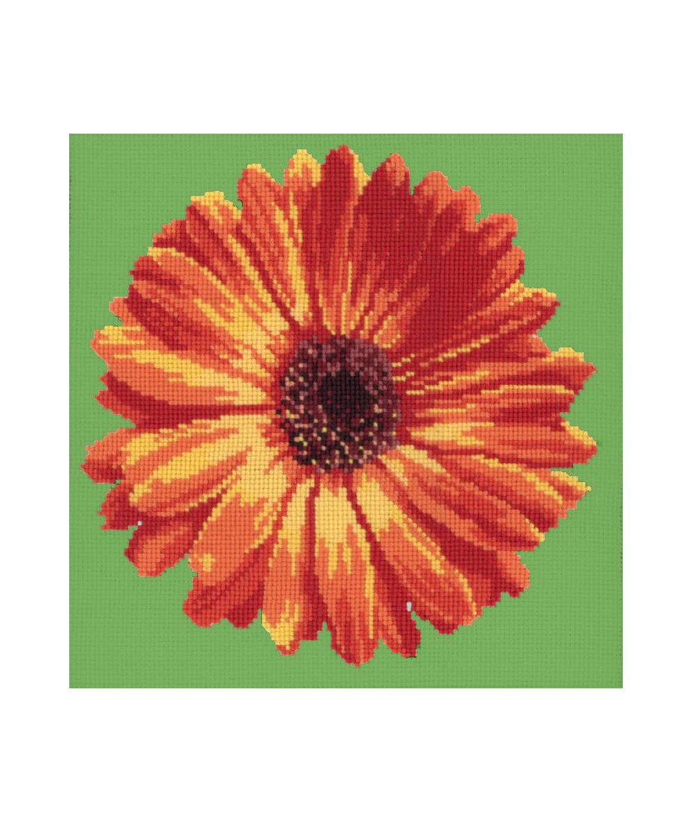 Elizabeth Bradley, Blooms, POT MARIGOLD - 12x12 pollici Elizabeth Bradley - 6