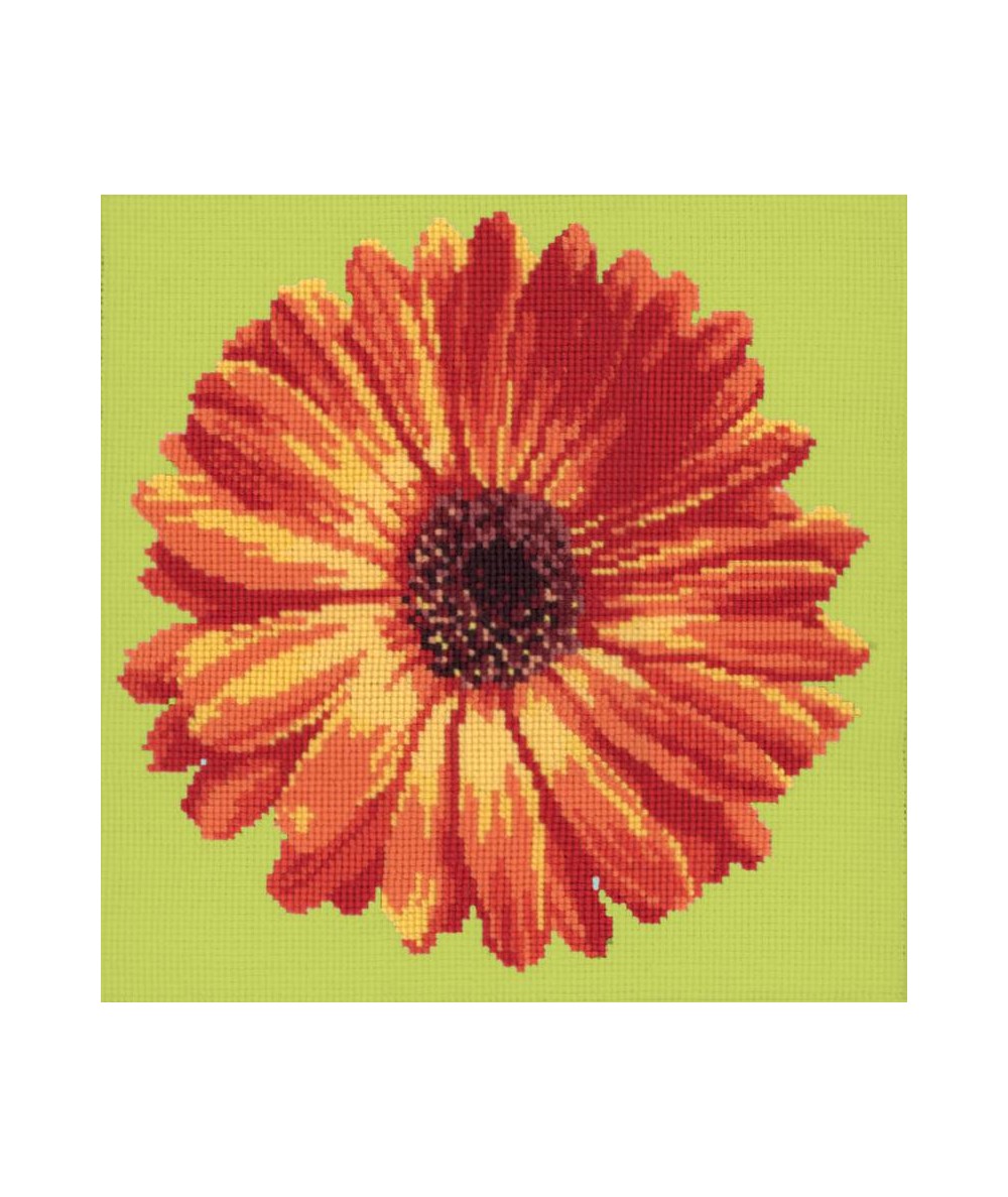 Elizabeth Bradley, Blooms, POT MARIGOLD - 12x12 pollici Elizabeth Bradley - 7