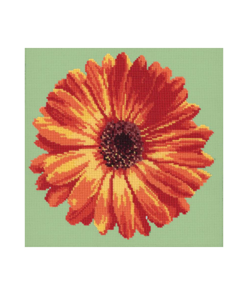 Elizabeth Bradley, Blooms, POT MARIGOLD - 12x12 pollici Elizabeth Bradley - 8