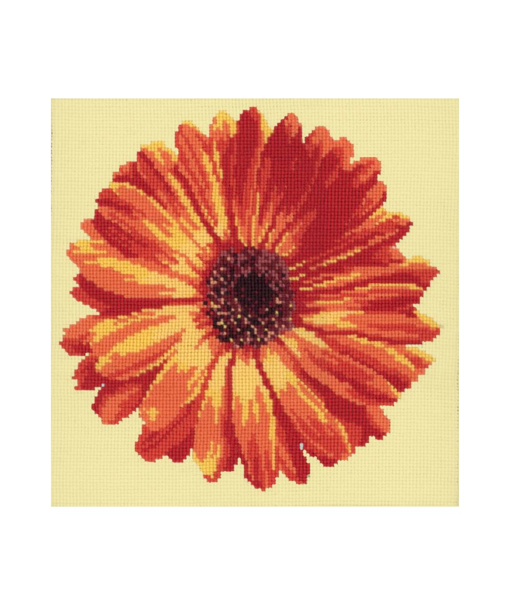 Elizabeth Bradley, Blooms, POT MARIGOLD - 12x12 pollici Elizabeth Bradley - 9
