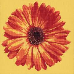 Elizabeth Bradley, Blooms, POT MARIGOLD - 12x12 pollici Elizabeth Bradley - 10