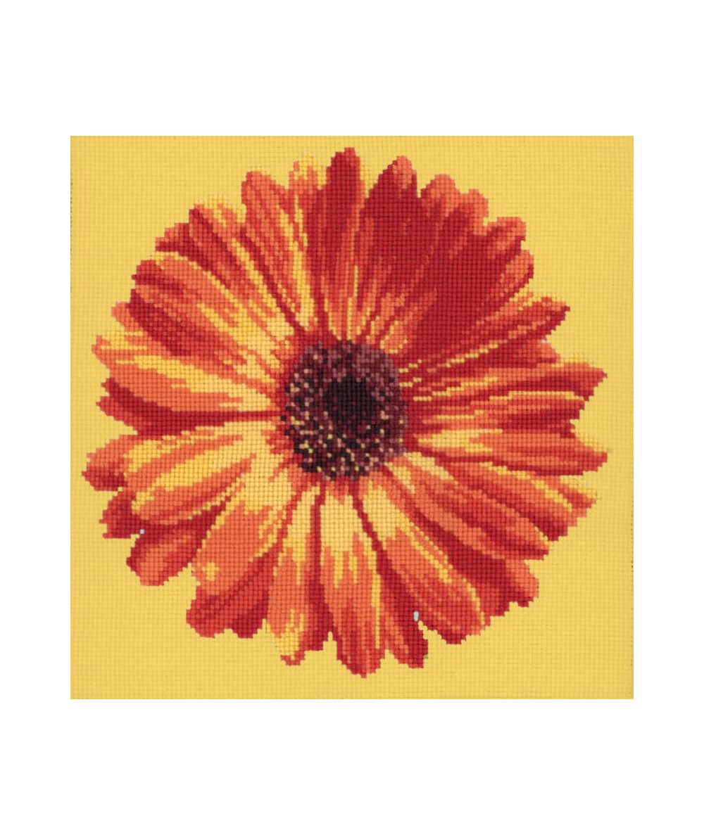 Elizabeth Bradley, Blooms, POT MARIGOLD - 12x12 pollici Elizabeth Bradley - 10