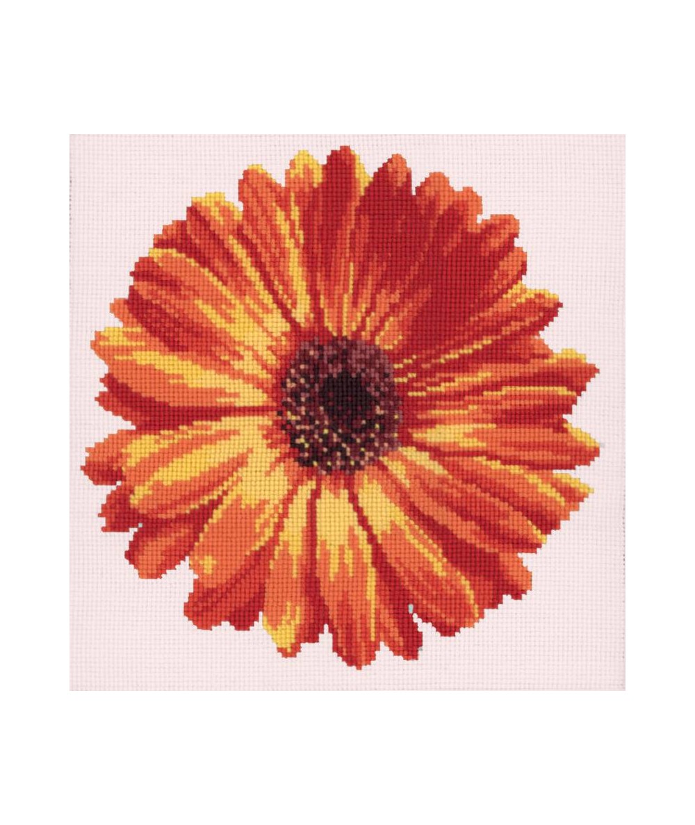 Elizabeth Bradley, Blooms, POT MARIGOLD - 12x12 pollici Elizabeth Bradley - 11
