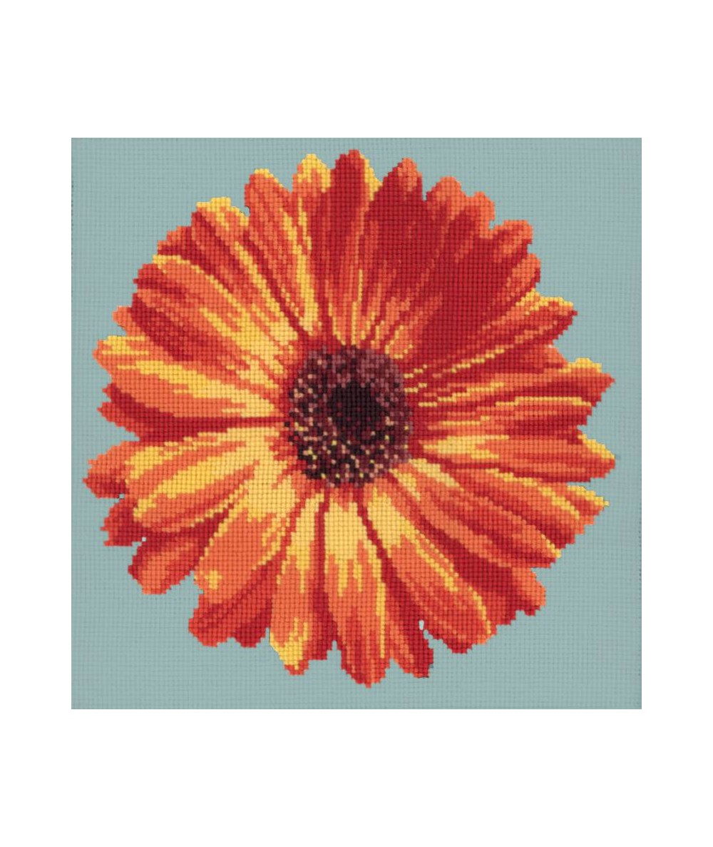Elizabeth Bradley, Blooms, POT MARIGOLD - 12x12 pollici Elizabeth Bradley - 13