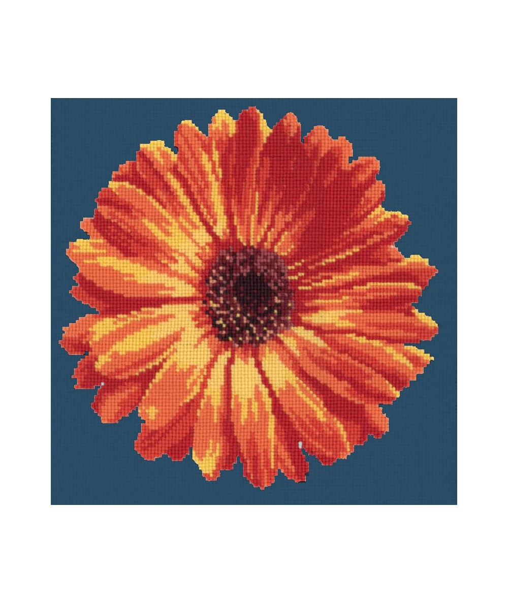 Elizabeth Bradley, Blooms, POT MARIGOLD - 12x12 pollici Elizabeth Bradley - 15