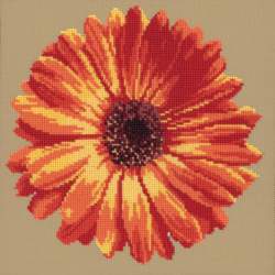 Elizabeth Bradley, Blooms, POT MARIGOLD - 12x12 pollici Elizabeth Bradley - 16