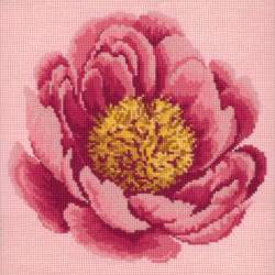 Elizabeth Bradley, Blooms, PEONY - 12x12 pollici Elizabeth Bradley - 1