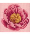 Elizabeth Bradley, Blooms, PEONY - 12x12 pollici Elizabeth Bradley - 1