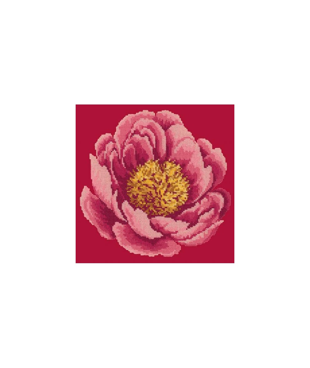 Elizabeth Bradley, Blooms, PEONY - 12x12 pollici Elizabeth Bradley - 3