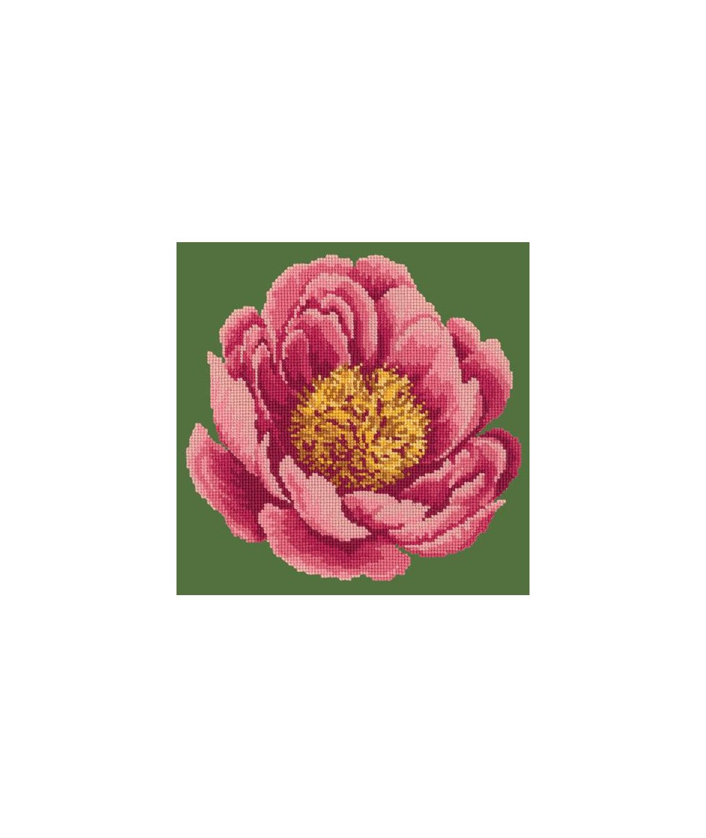 Elizabeth Bradley, Blooms, PEONY - 12x12 pollici Elizabeth Bradley - 5