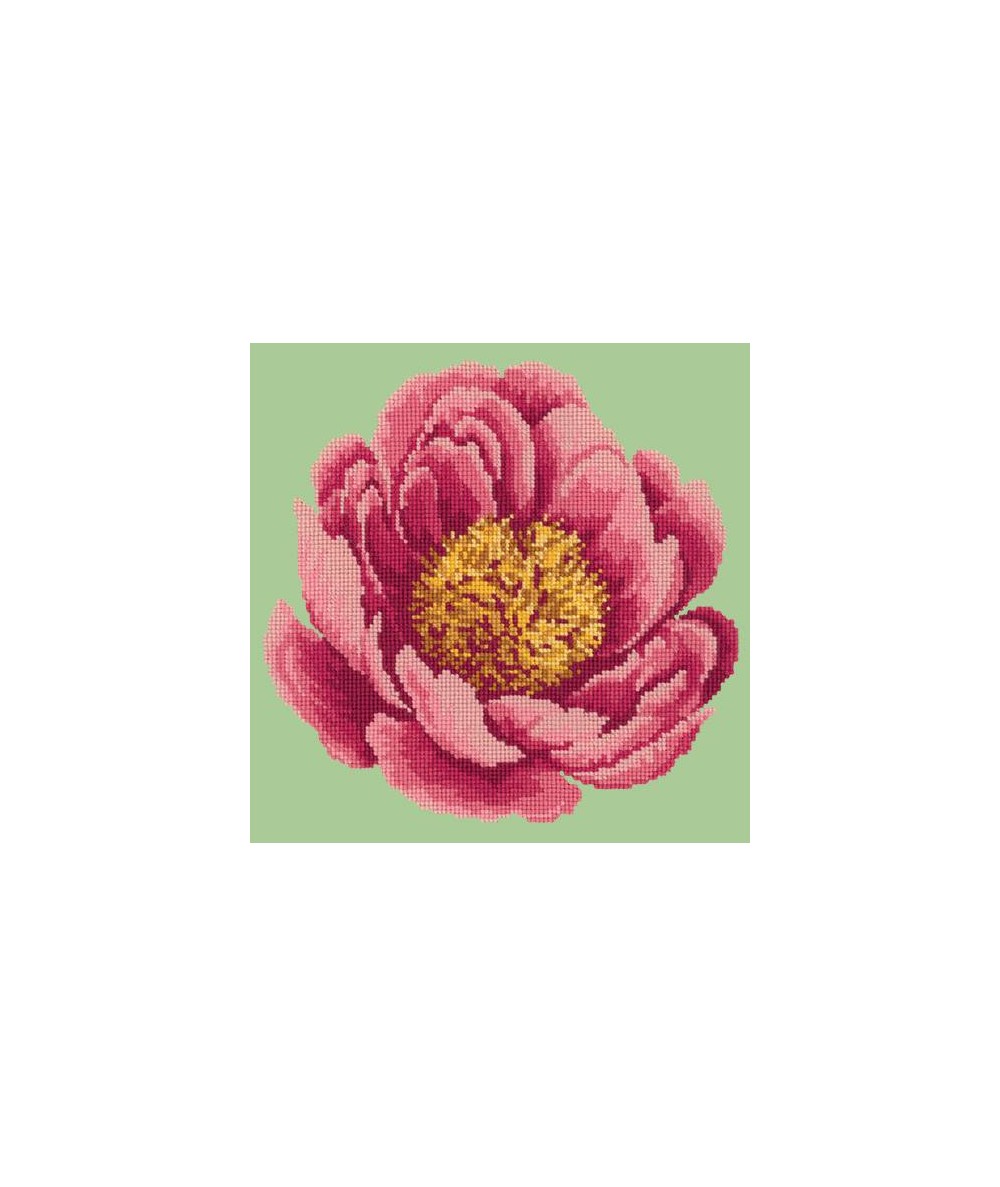 Elizabeth Bradley, Blooms, PEONY - 12x12 pollici Elizabeth Bradley - 8
