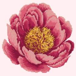Elizabeth Bradley, Blooms, PEONY - 12x12 pollici Elizabeth Bradley - 11