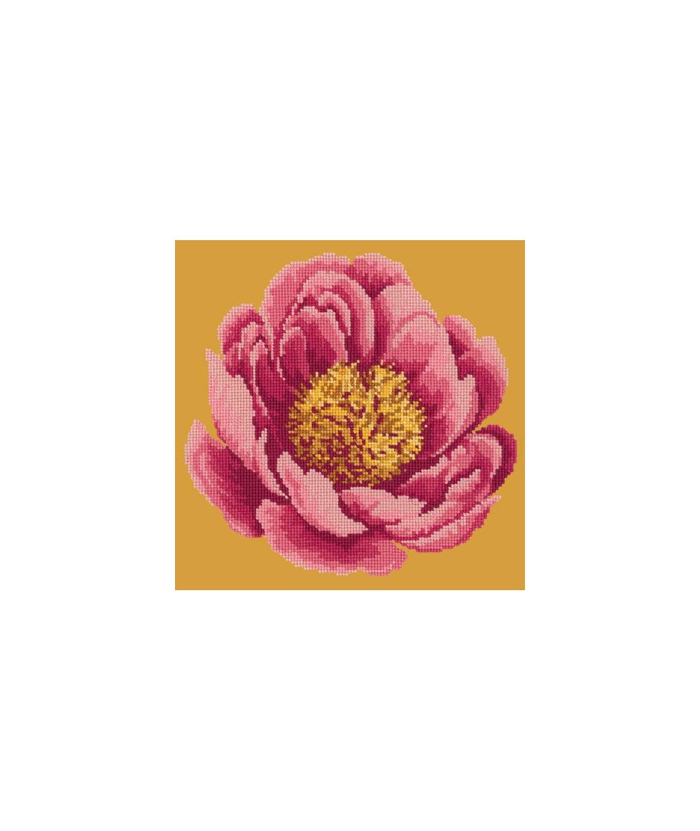 Elizabeth Bradley, Blooms, PEONY - 12x12 pollici Elizabeth Bradley - 12