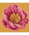 Elizabeth Bradley, Blooms, PEONY - 12x12 pollici Elizabeth Bradley - 12
