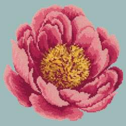 Elizabeth Bradley, Blooms, PEONY - 12x12 pollici Elizabeth Bradley - 13