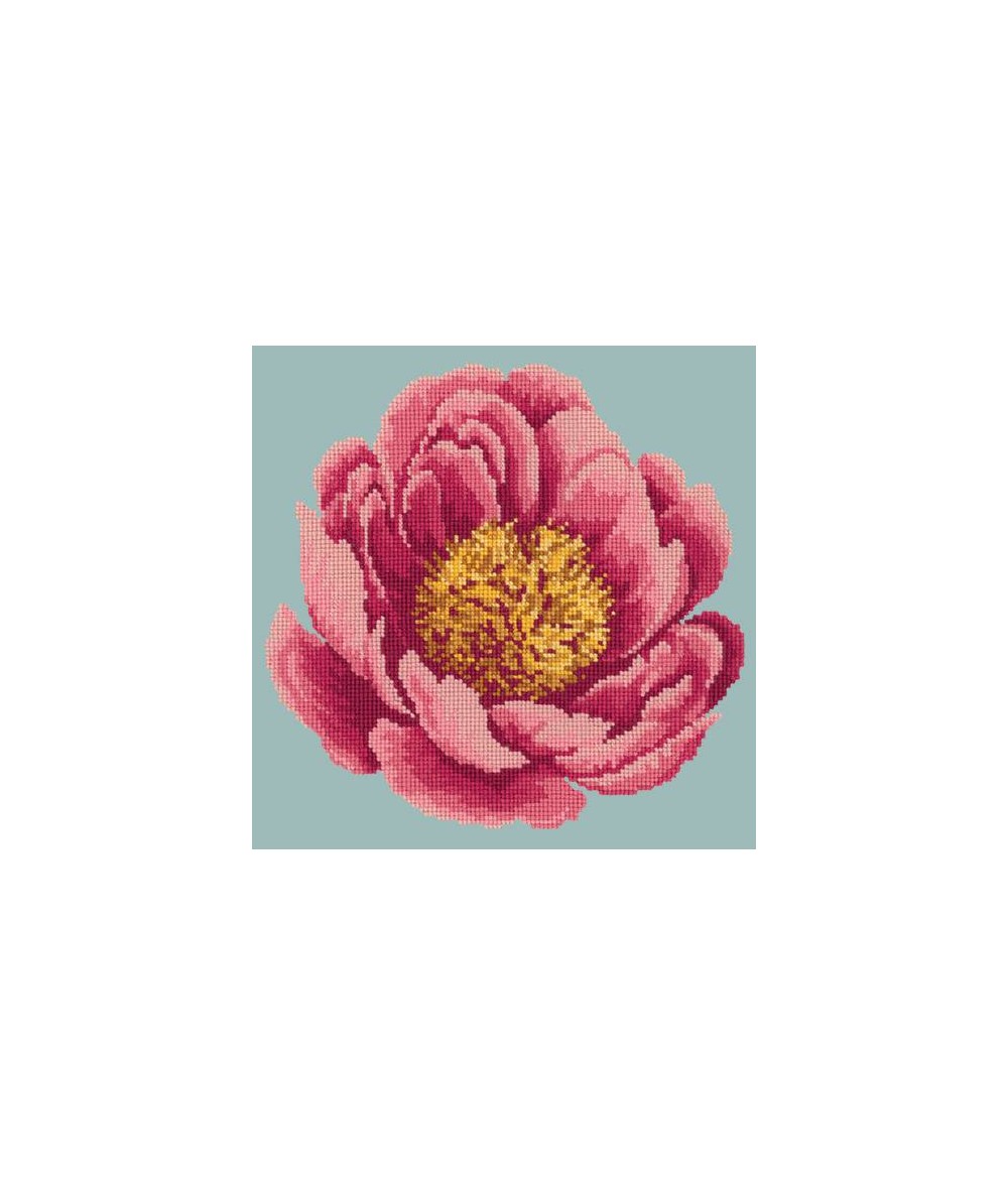 Elizabeth Bradley, Blooms, PEONY - 12x12 pollici Elizabeth Bradley - 13