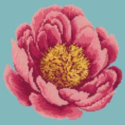 Elizabeth Bradley, Blooms, PEONY - 12x12 pollici Elizabeth Bradley - 14