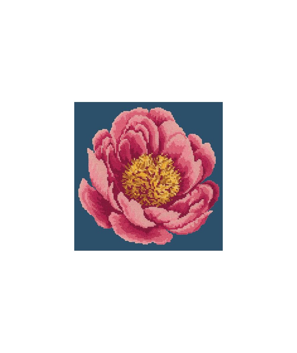 Elizabeth Bradley, Blooms, PEONY - 12x12 pollici Elizabeth Bradley - 15