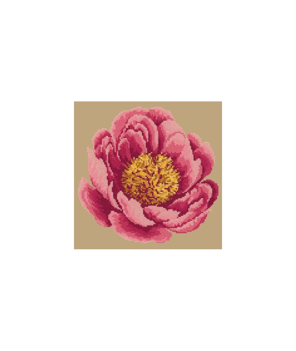 Elizabeth Bradley, Blooms, PEONY - 12x12 pollici Elizabeth Bradley - 16