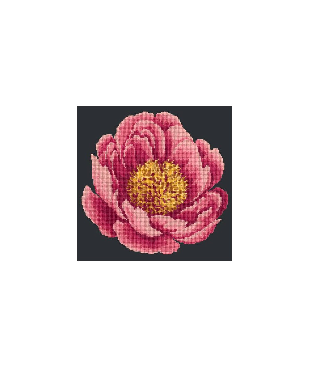Elizabeth Bradley, Blooms, PEONY - 12x12 pollici Elizabeth Bradley - 17