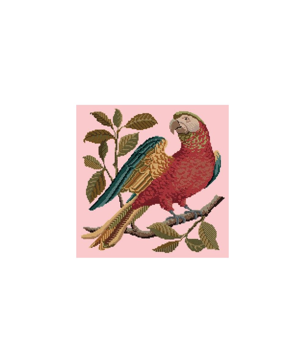 Elizabeth Bradley, Victorian Animals, ALISTER THE PARROT - 16x16 pollici Elizabeth Bradley - 1
