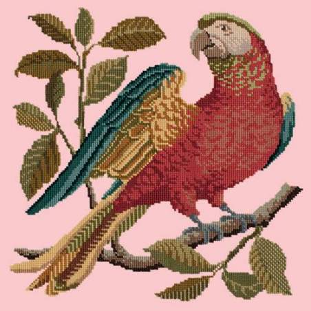 Elizabeth Bradley, Victorian Animals, ALISTER THE PARROT - 16x16 pollici Elizabeth Bradley - 1