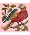 Elizabeth Bradley, Victorian Animals, ALISTER THE PARROT - 16x16 pollici Elizabeth Bradley - 1