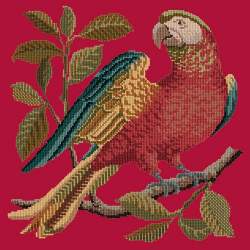 Elizabeth Bradley, Victorian Animals, ALISTER THE PARROT - 16x16 pollici Elizabeth Bradley - 3