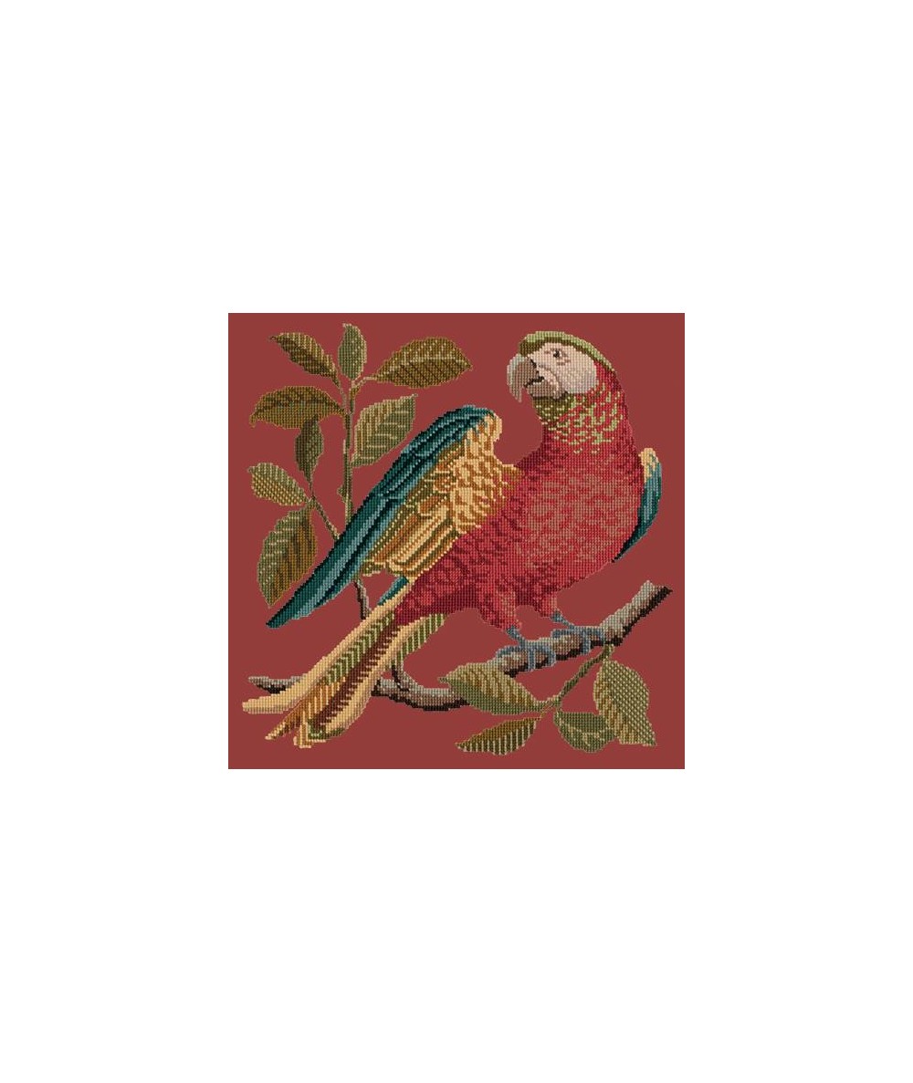 Elizabeth Bradley, Victorian Animals, ALISTER THE PARROT - 16x16 pollici Elizabeth Bradley - 4