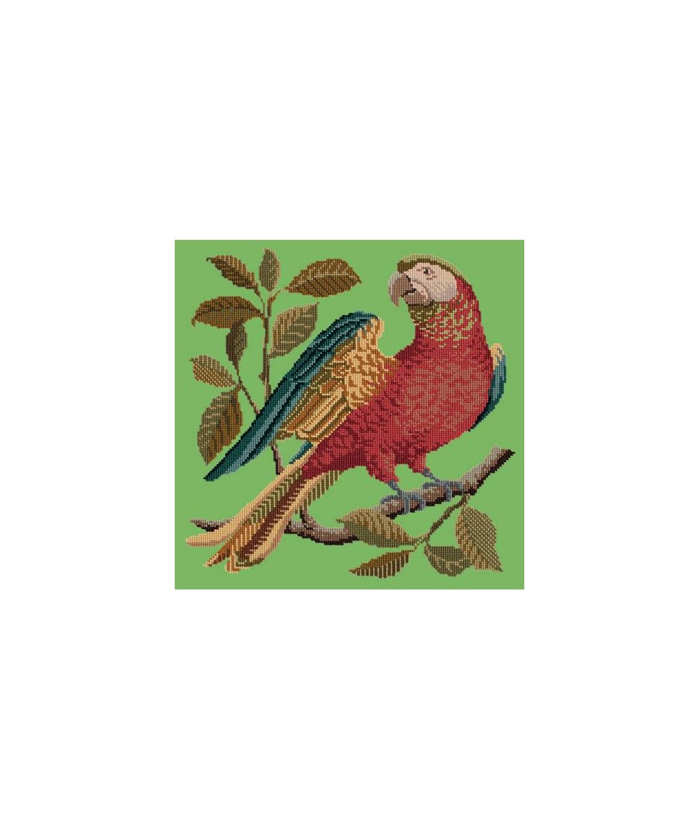 Elizabeth Bradley, Victorian Animals, ALISTER THE PARROT - 16x16 pollici Elizabeth Bradley - 6