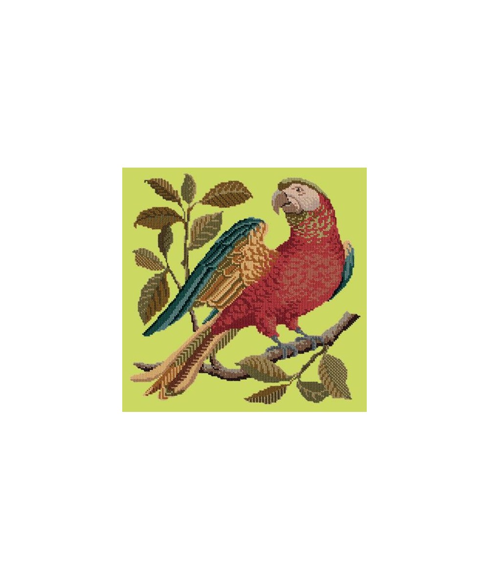 Elizabeth Bradley, Victorian Animals, ALISTER THE PARROT - 16x16 pollici Elizabeth Bradley - 7