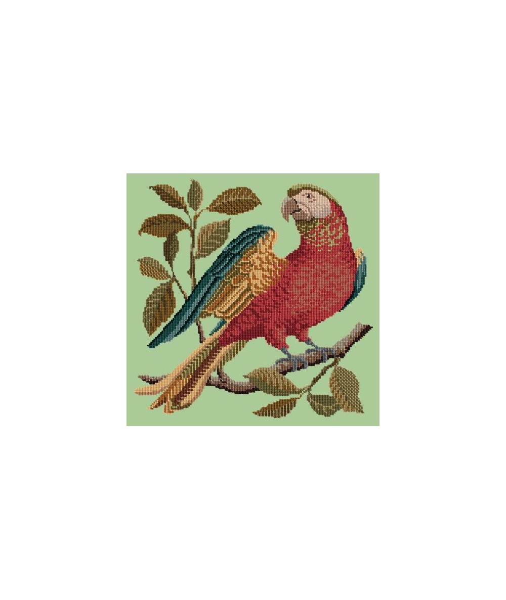 Elizabeth Bradley, Victorian Animals, ALISTER THE PARROT - 16x16 pollici Elizabeth Bradley - 8