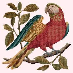Elizabeth Bradley, Victorian Animals, ALISTER THE PARROT - 16x16 pollici Elizabeth Bradley - 11