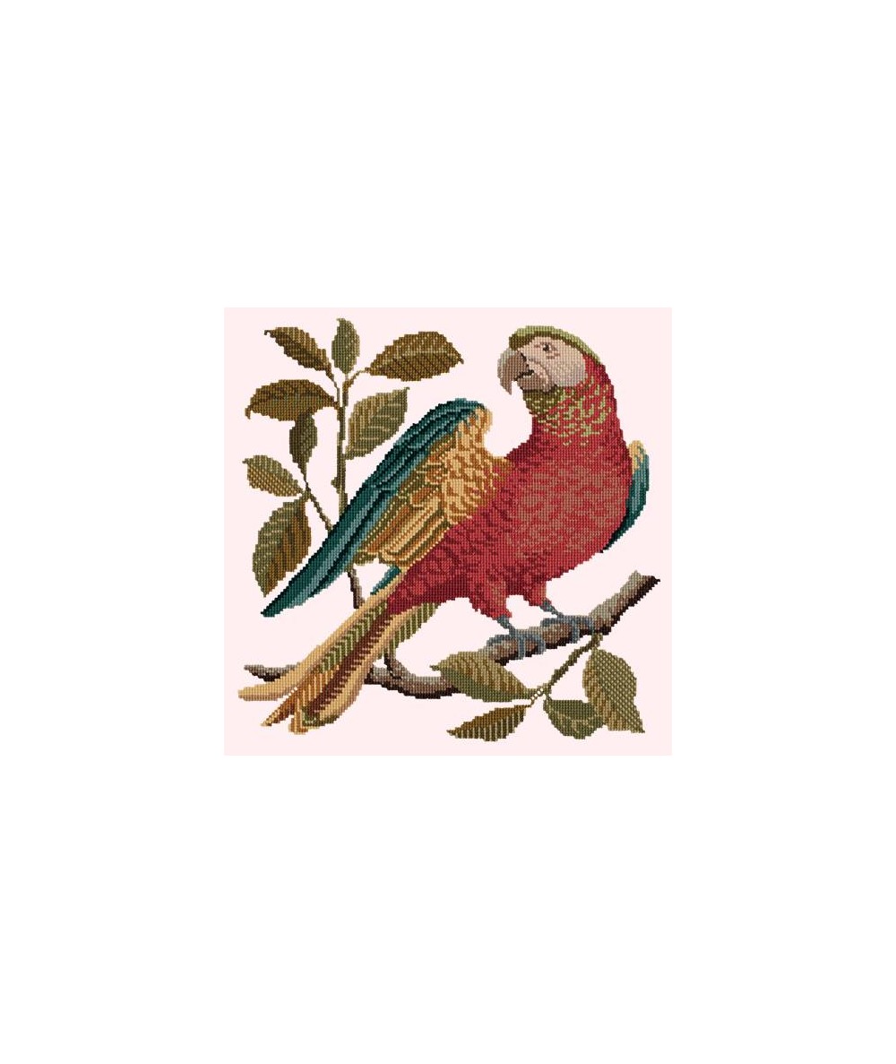 Elizabeth Bradley, Victorian Animals, ALISTER THE PARROT - 16x16 pollici Elizabeth Bradley - 11
