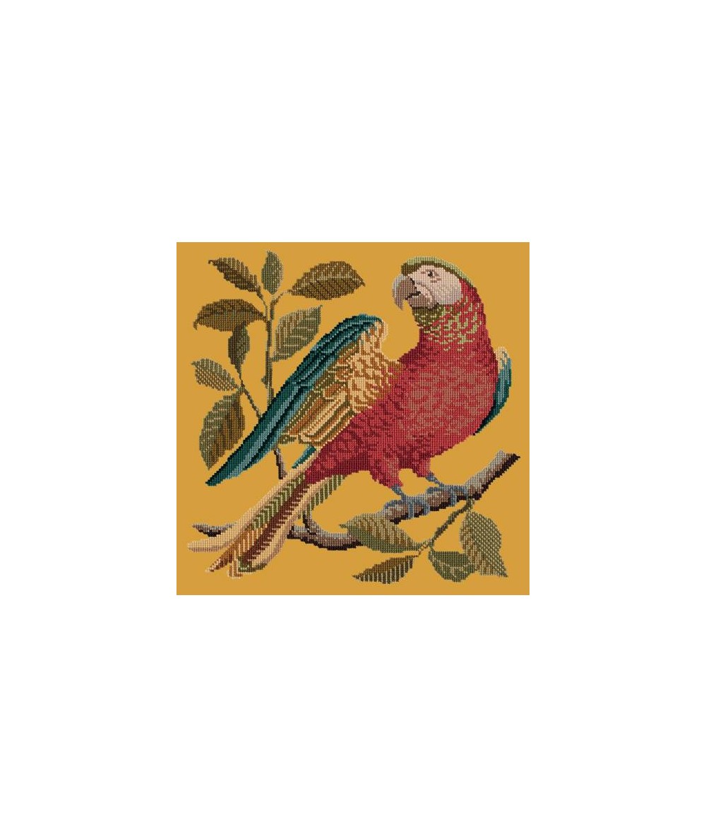 Elizabeth Bradley, Victorian Animals, ALISTER THE PARROT - 16x16 pollici Elizabeth Bradley - 12