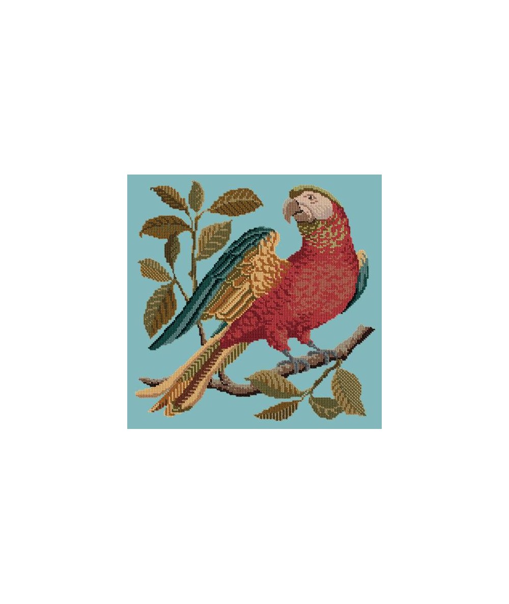 Elizabeth Bradley, Victorian Animals, ALISTER THE PARROT - 16x16 pollici Elizabeth Bradley - 14