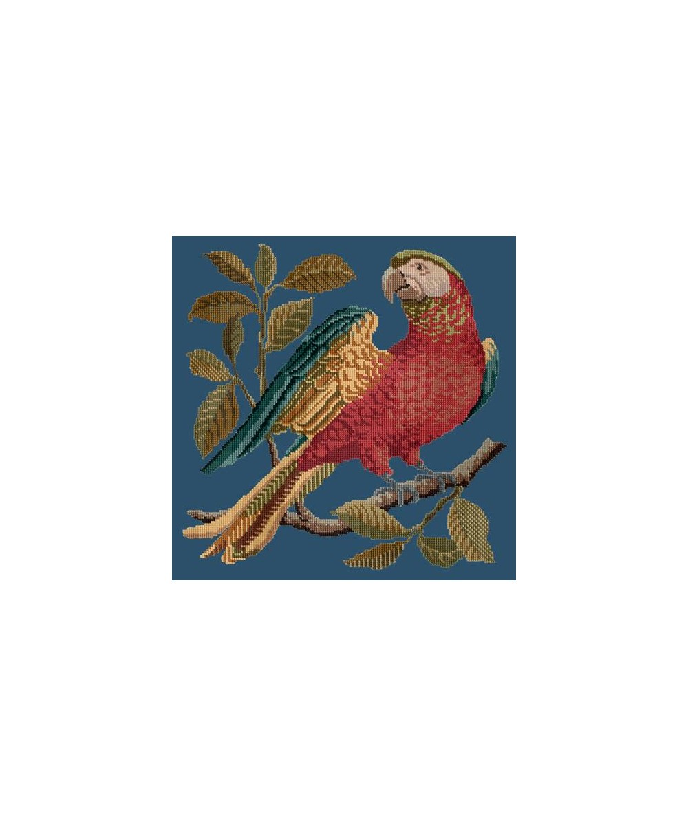 Elizabeth Bradley, Victorian Animals, ALISTER THE PARROT - 16x16 pollici Elizabeth Bradley - 15